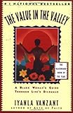 The Value in the Valley: A Black Woman's Guide Through Life's Dilemmas (Iyanla Vanzant)